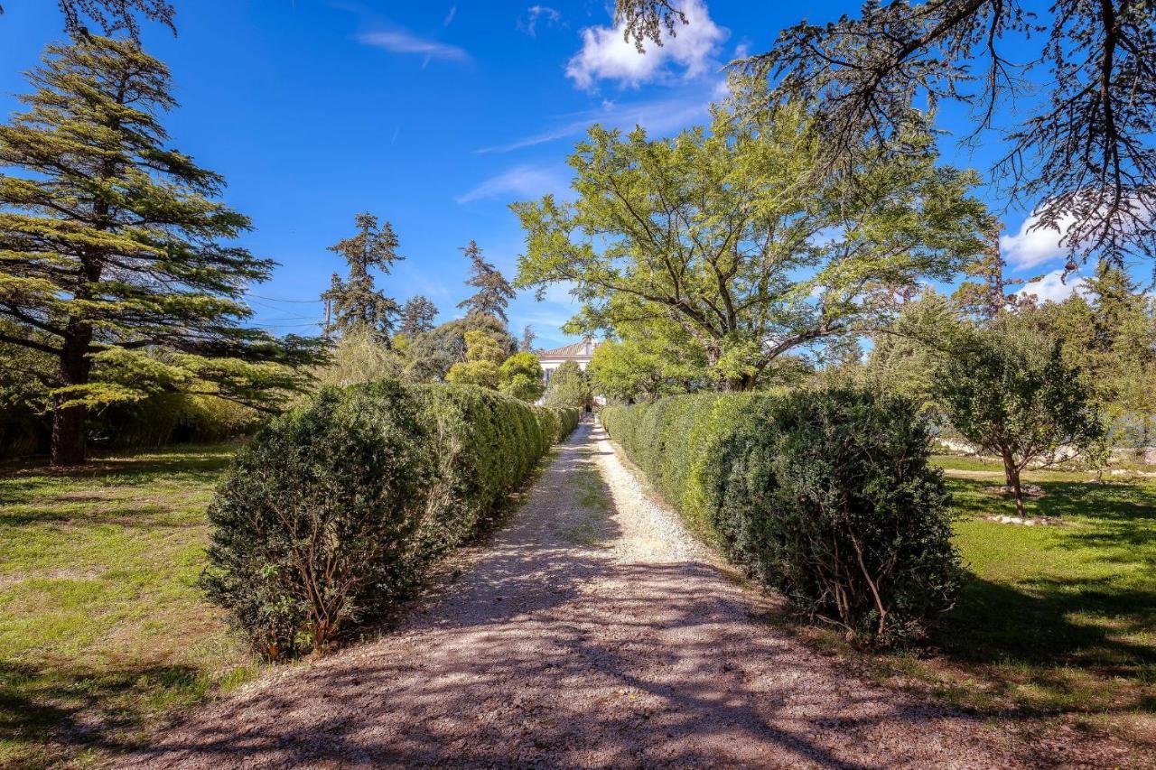 B&B En Provence- Villa Saint Marc Форкалькье Экстерьер фото